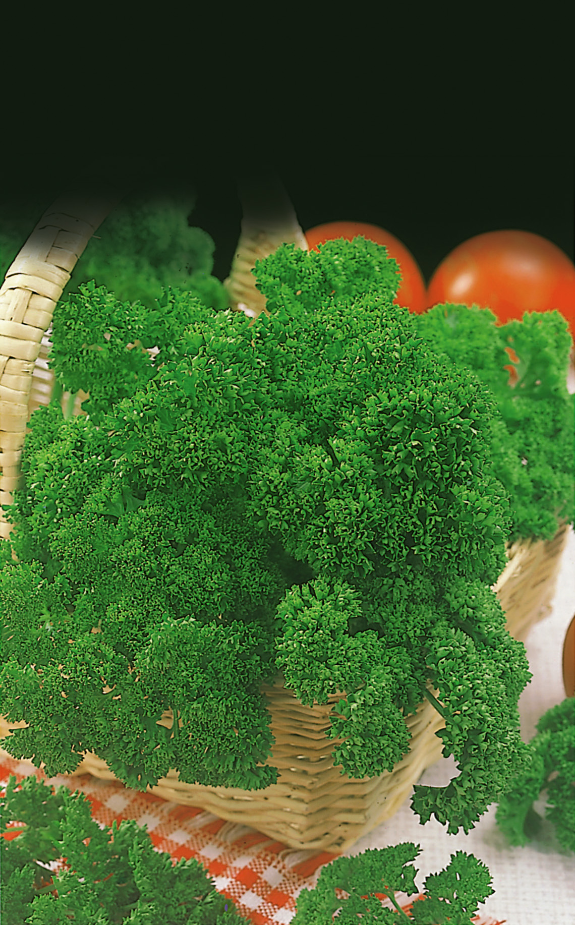 Nahaufnahme von frischer, krauser Petersilie in einem Weidenkorb auf kariertem Tuch, im Hintergrund Tomaten