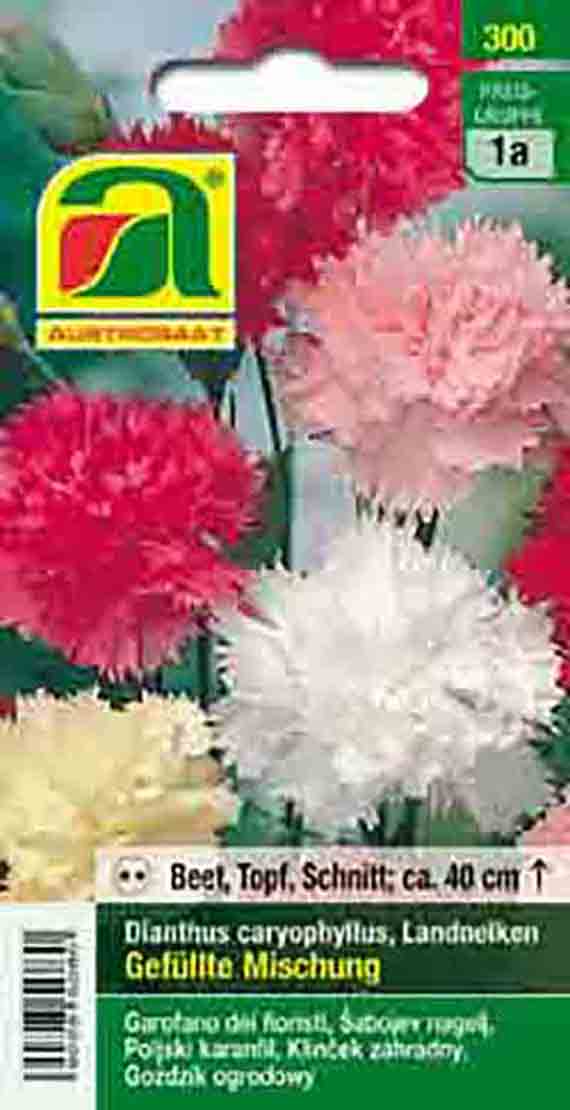 Samenpackung mit gefüllten Gartennelken (Dianthus caryophyllus) in Weiß, Rosa und Rot. Für Beet, Topf und Schnitt; Wuchshöhe ca. 40 cm.
