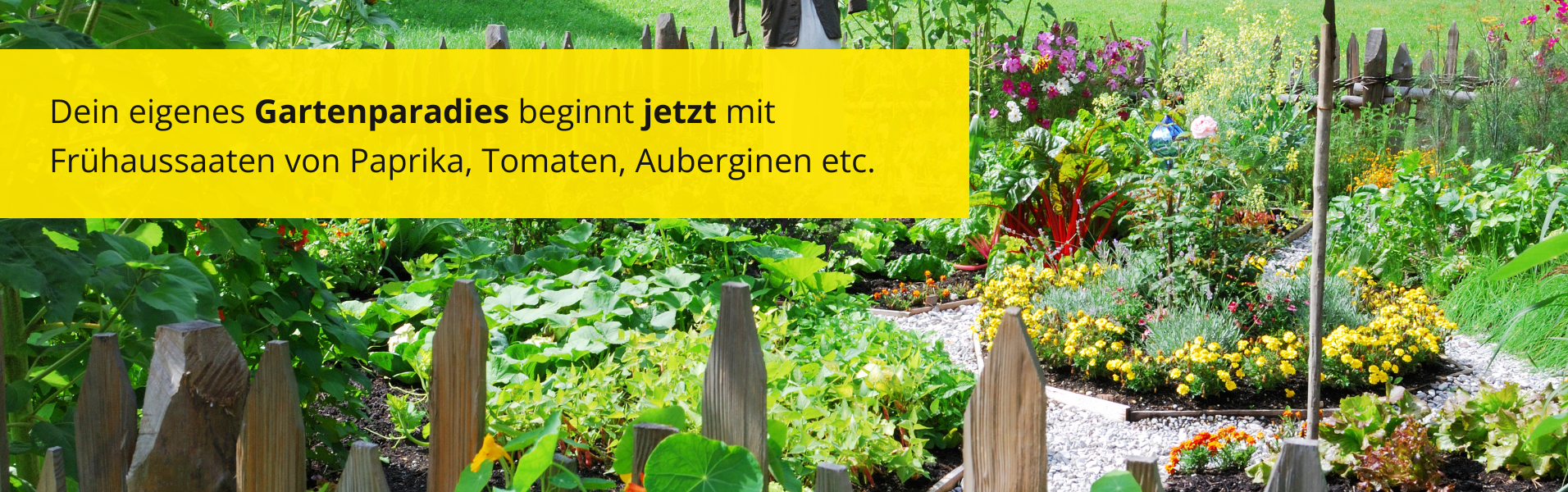 Jetzt Frühaussaaten säen!