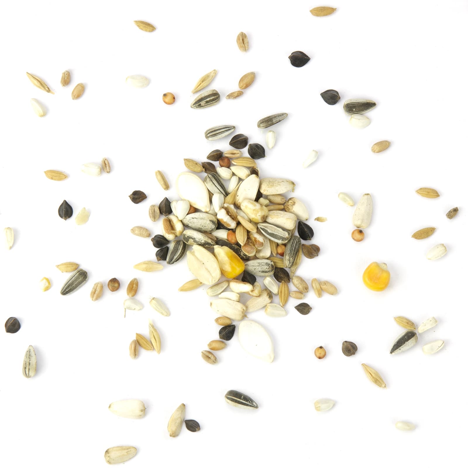 Vogelfutter Papageien Leibspeise