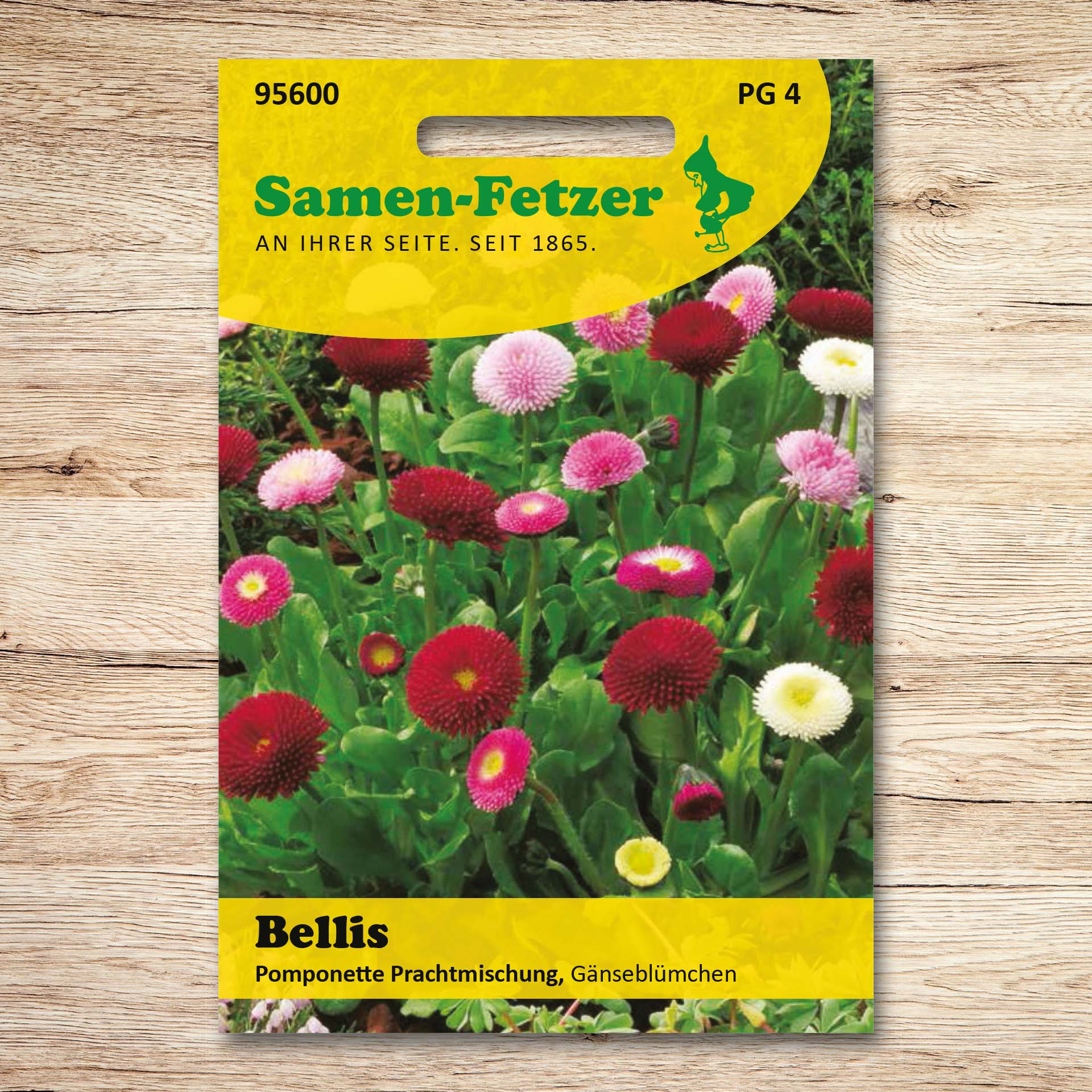 Bellis Pomponette Prachtmischung