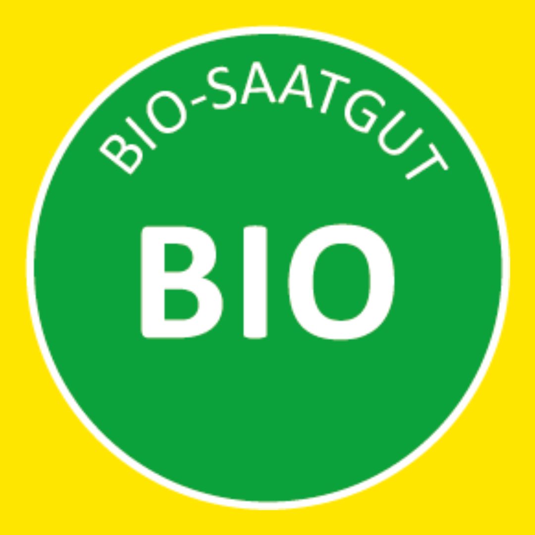 Saatgut in Bio-Qualität