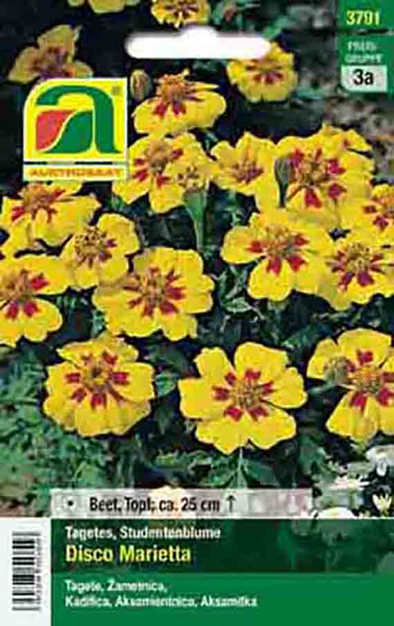 Saatgut-Verpackung der Tagetes-Sorte 'Disco Marietta' mit zahlreichen gelben Blüten und rotem Zentrum, sichtbares Markenlogo oben links und Produktangaben (Beet-Topf ca. 25 cm).