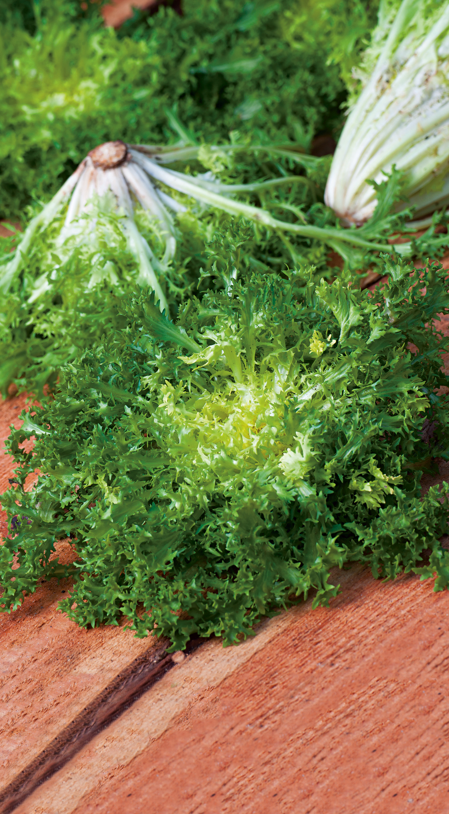 Nahaufnahme eines frischen Frisée-Salatkopfs (Endivie) mit hellgrünen, krausen Blättern auf einem Holzbrett