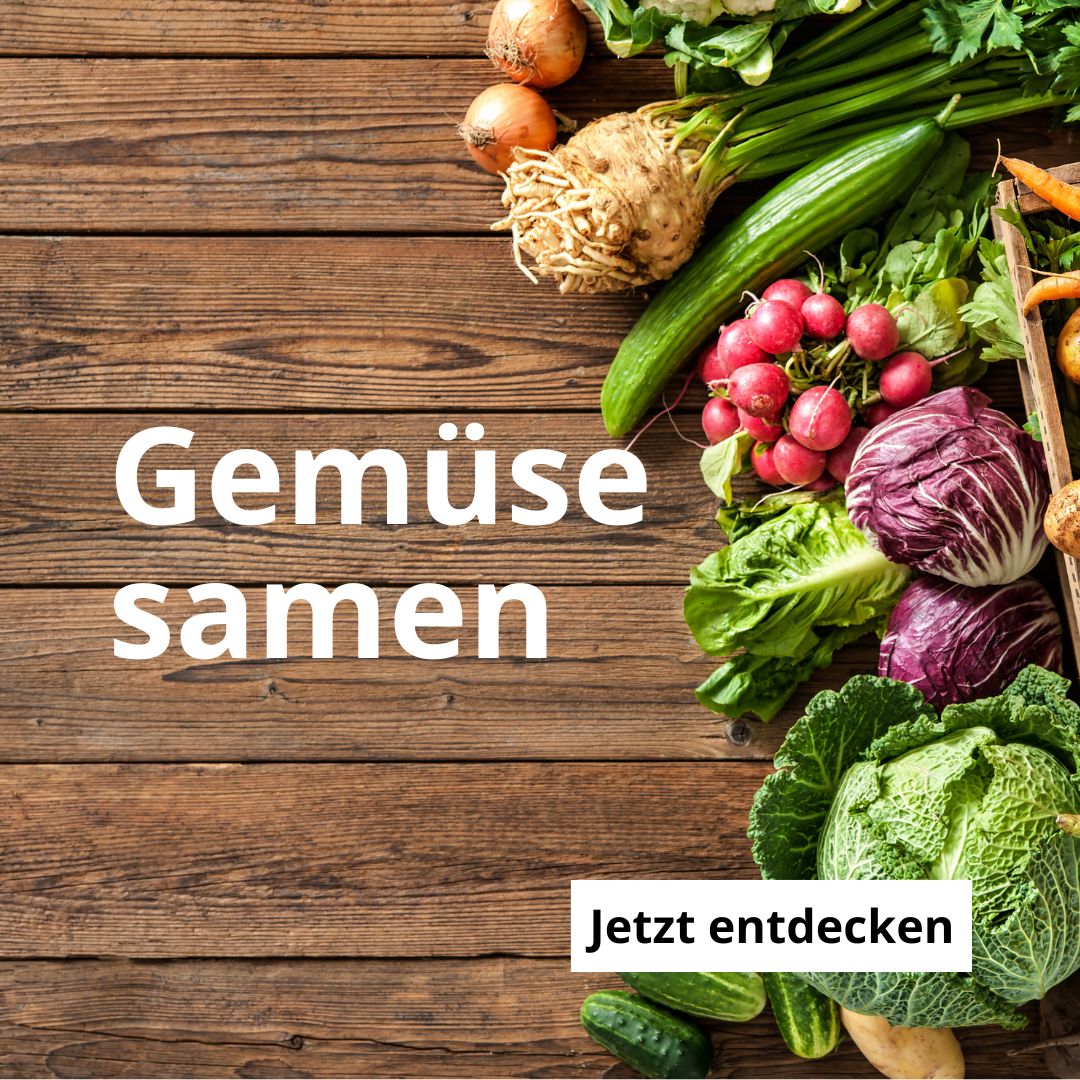 Gemüsesamen