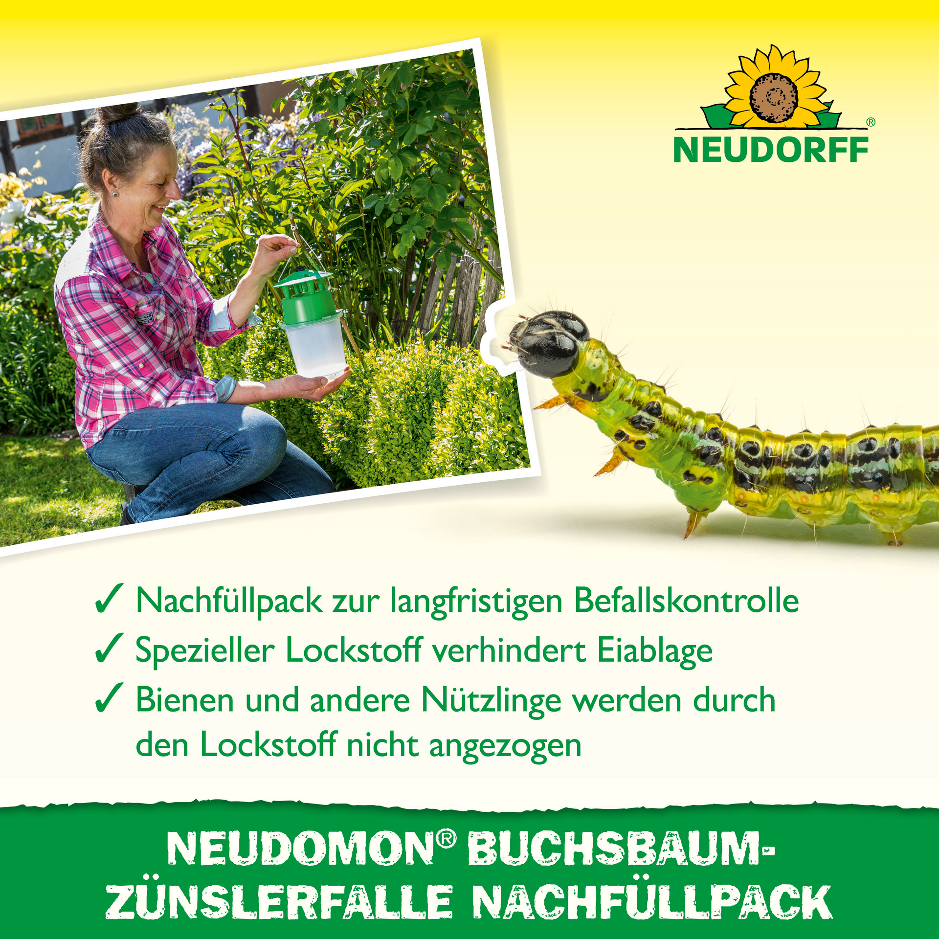 Buchsbaumzünslerfalle Nachfüllpack mit 2 Lockstoffdepots