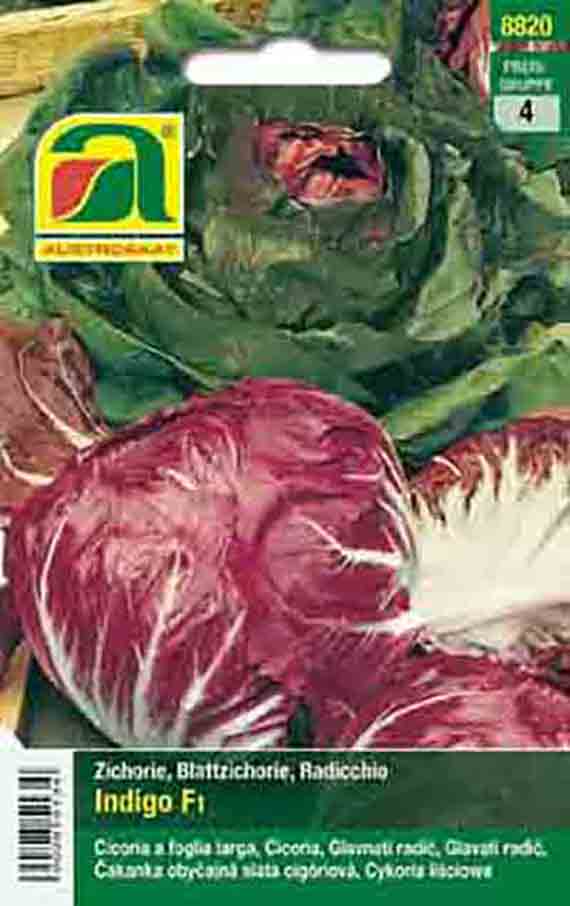 Packungsabbildung Saatgut Radicchio Indigo F1: rötlich-weiße Radicchio-Köpfe und grüner Chicorée auf der Verpackung; Sortenname, Artikelnummer und Herstellerlogo sichtbar