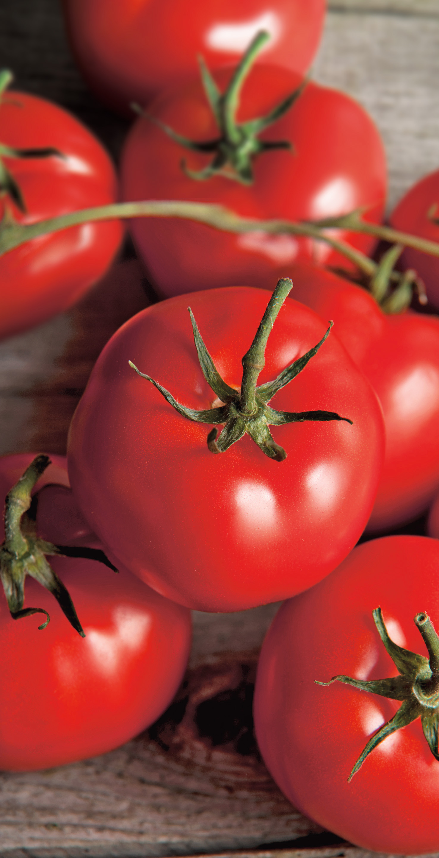 Nahaufnahme von roten Strauchtomaten mit grünen Stielen auf rustikalem Holzuntergrund