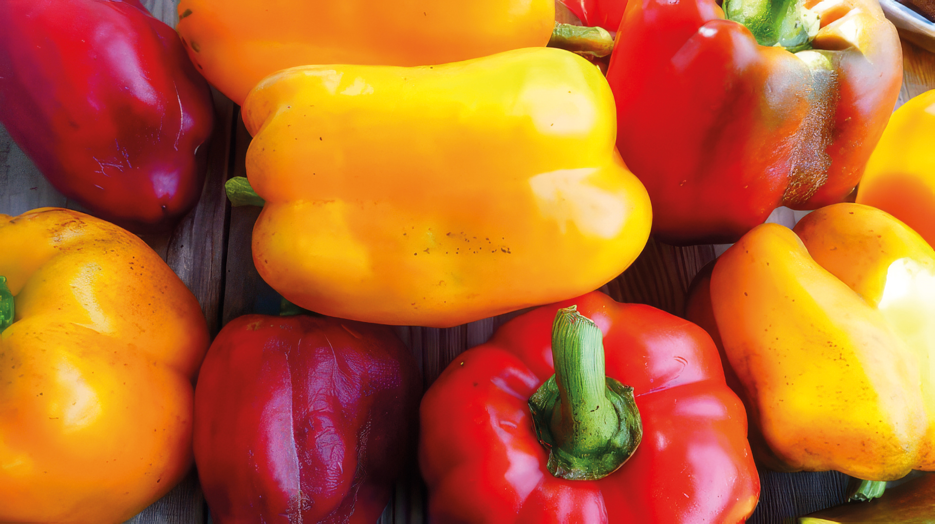 Paprika Szegediner
