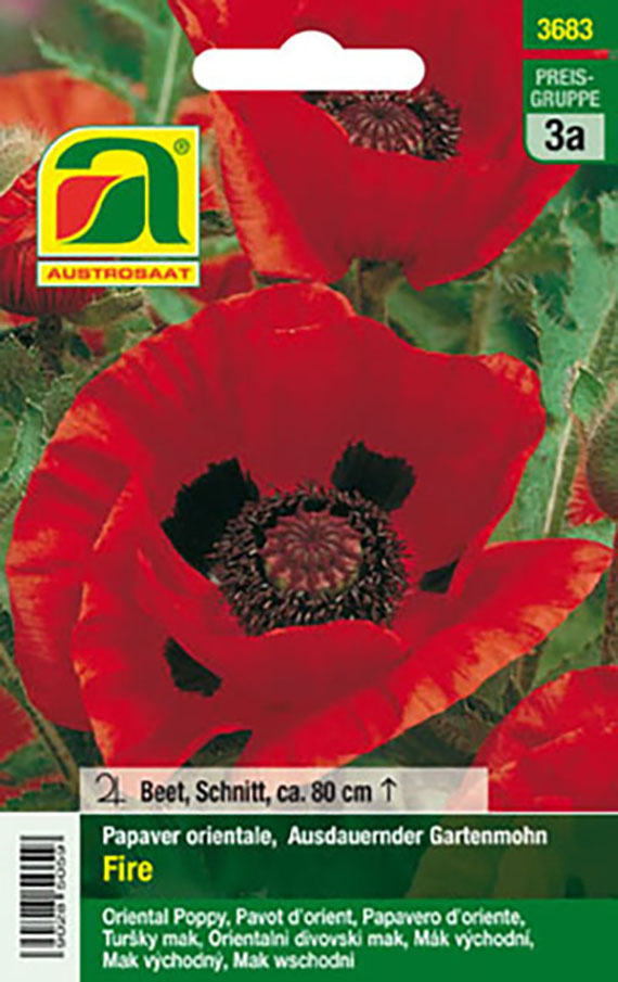 Saatgut-Packung mit Austrosaat-Logo für Papaver orientale 'Fire' (Orientalischer Gartenmohn). Leuchtend rote Blüten mit dunklem Auge, geeignet als Beet- und Schnittpflanze, Wuchshöhe ca. 80 cm, Produktabbildung.