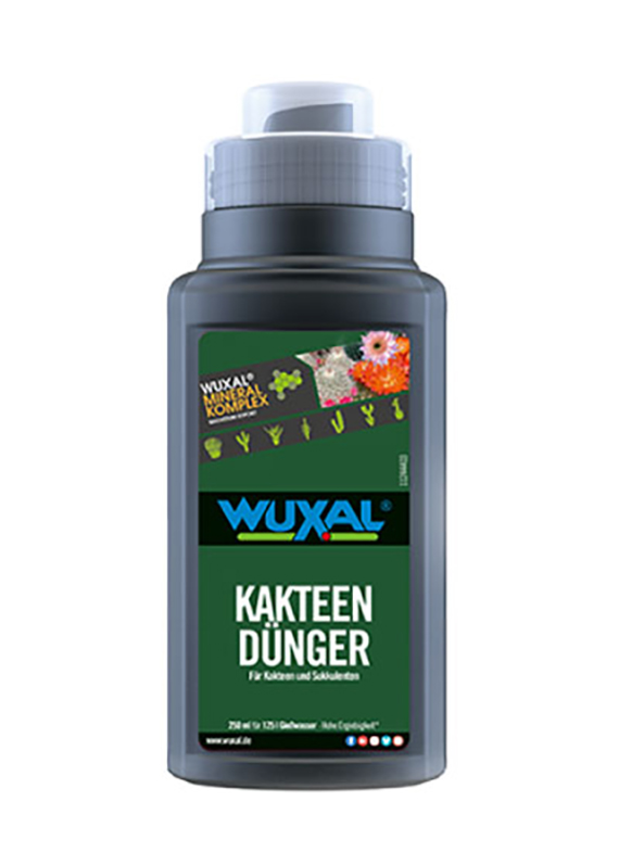 Dunkelgraue Kunststoffflasche mit grünem Etikett 'WUXAL Kakteen Dünger' und Schraubverschluss, Produktbild für Kakteen- und Sukkulentendünger