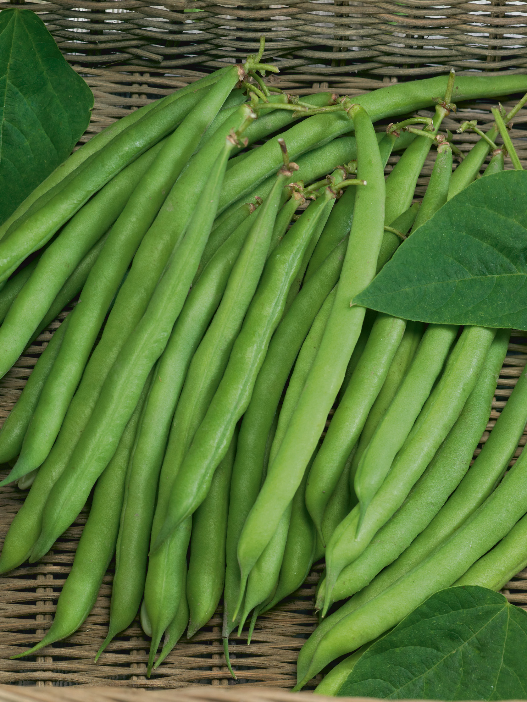 Nahaufnahme frischer grüner Bohnen auf geflochtenem Weidenkorb mit einzelnen Blättern, saftig und knackig, geeignet für Rezepte und Produktdarstellung.