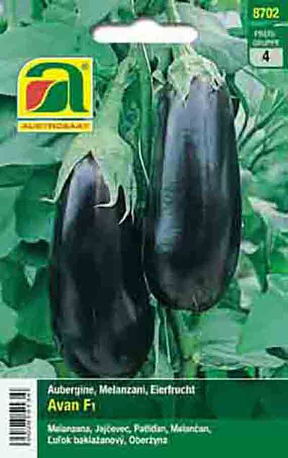 Samenpackung Aubergine Avan F1: zwei reife, längliche, tiefviolette Auberginen an Pflanze vor grünem Blattwerk