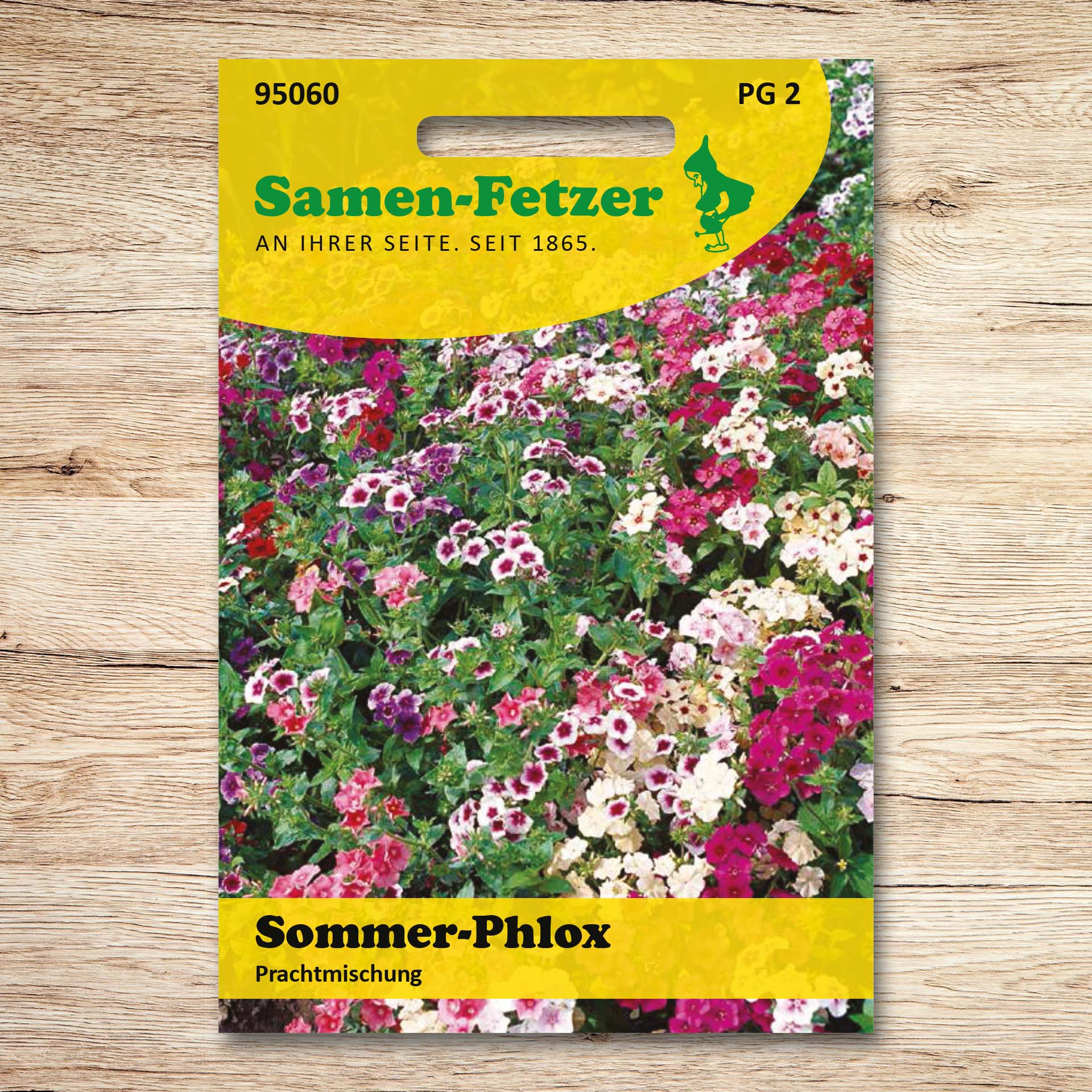 Sommer-Phlox Prachtmischung