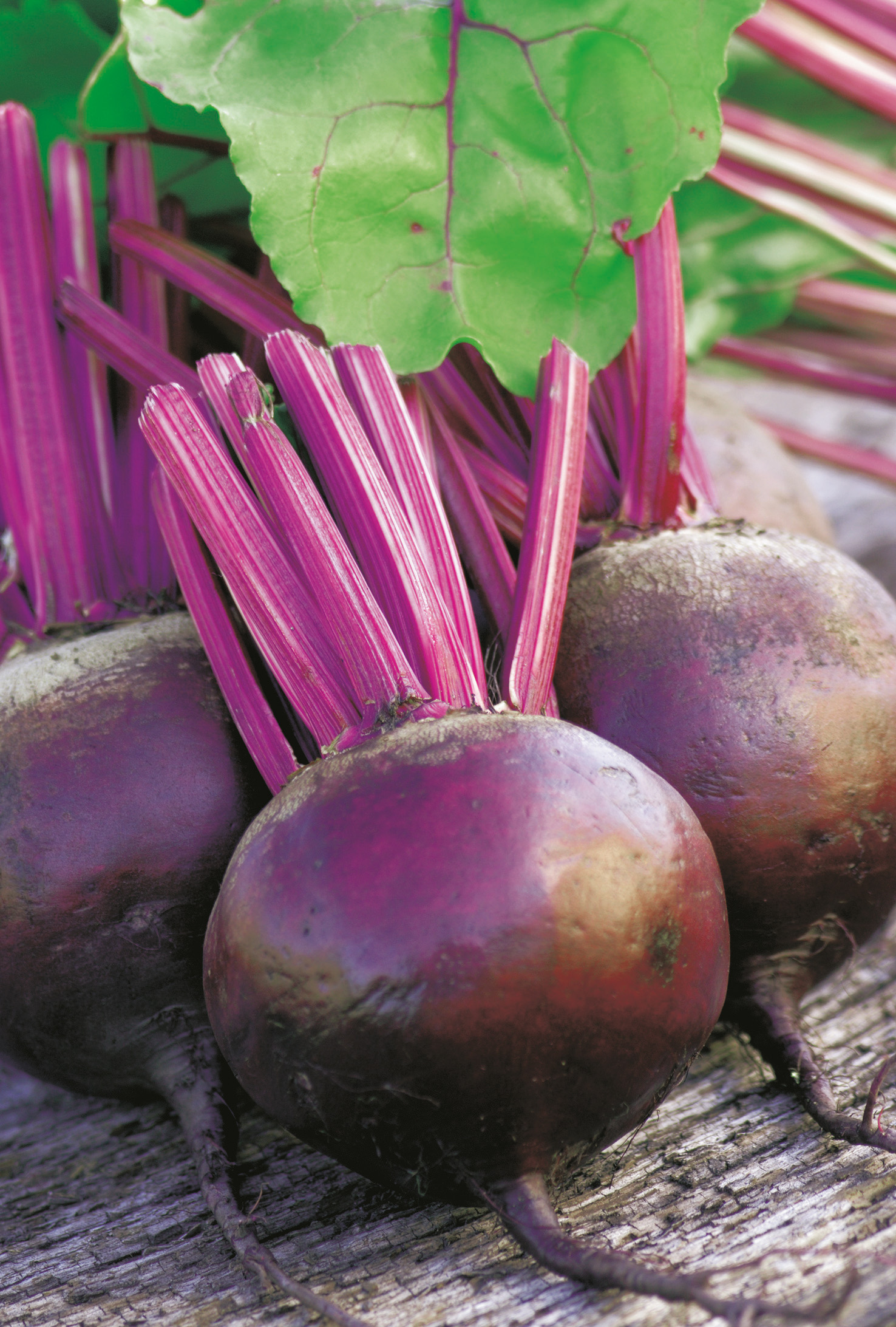 92810_Rote Bete, Rote Kugel Nahaufnahme von drei frischen roten Beten mit leuchtend violetten Stielen und grünem Blatt auf Holzuntergrund