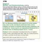 Blumen- und Kräutermischung (Bio) Elegance