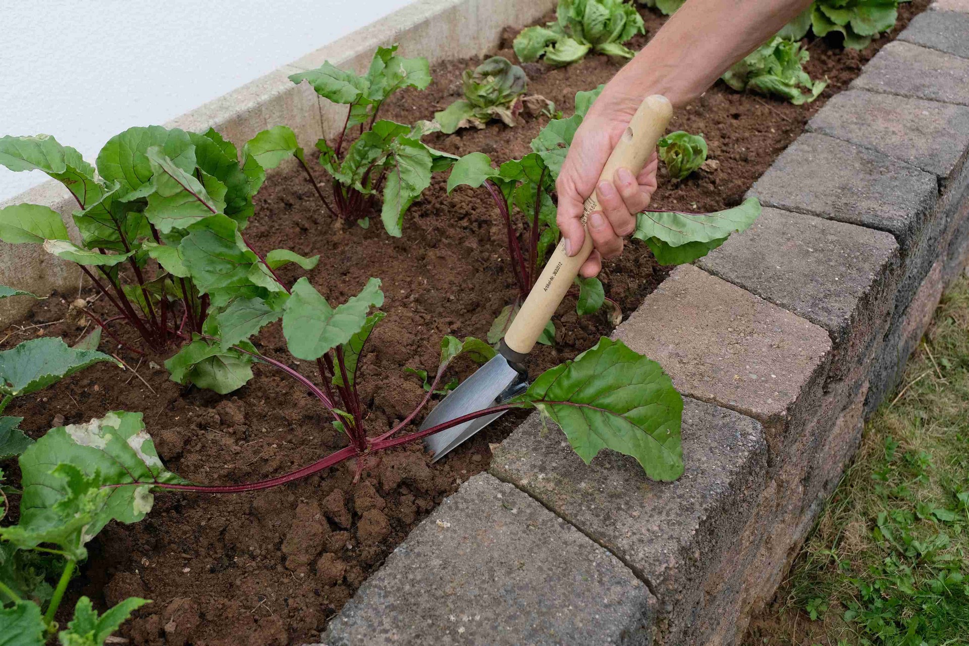 Hochbeet-Gartengerät Blumenkelle