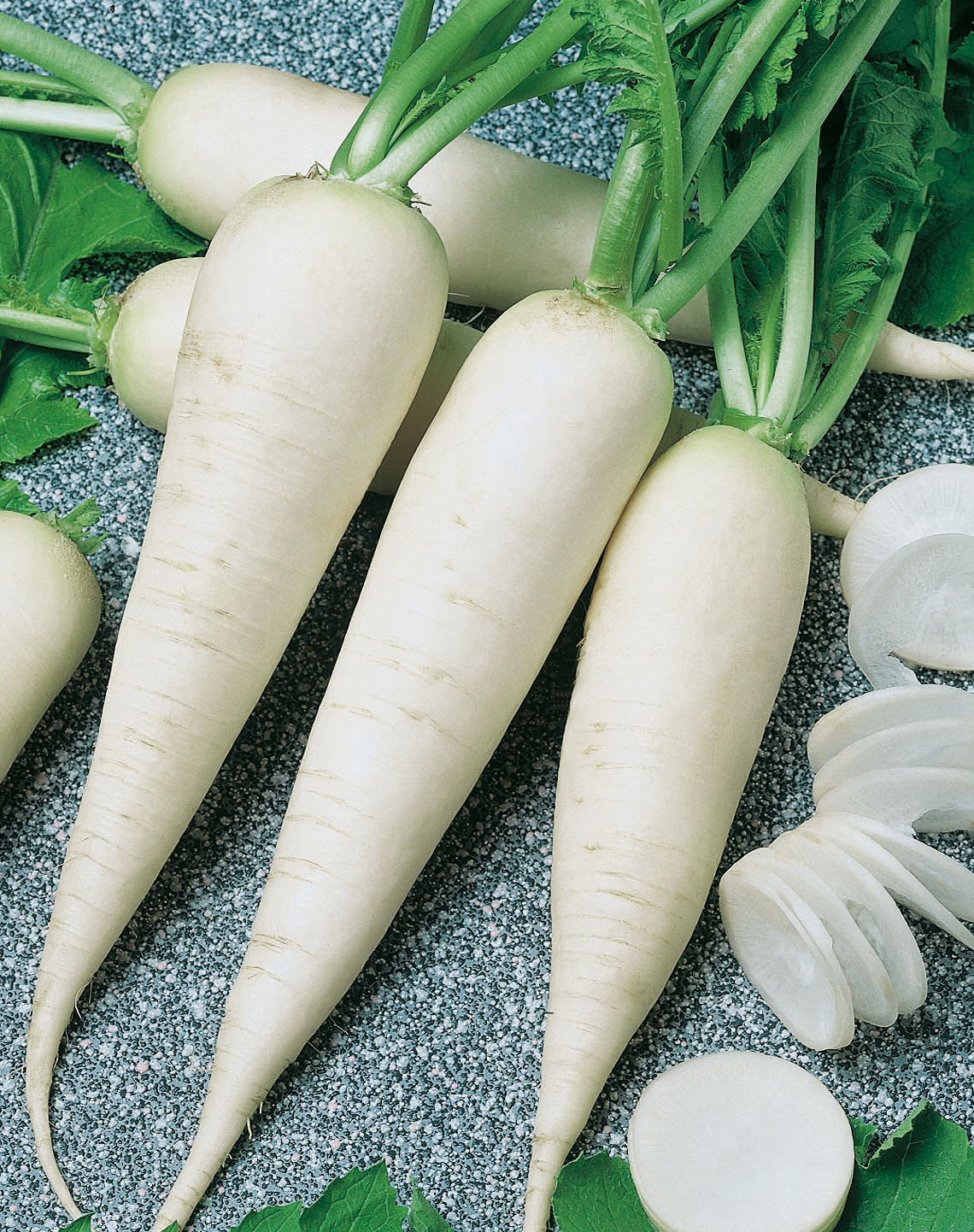 92630_Rettich Rex Frischer weißer Daikon-Rettich: drei lange, konische Wurzeln mit grünen Blättern und aufgeschnittenen Scheiben auf grauem Untergrund, ideal für Salate und asiatische Küche