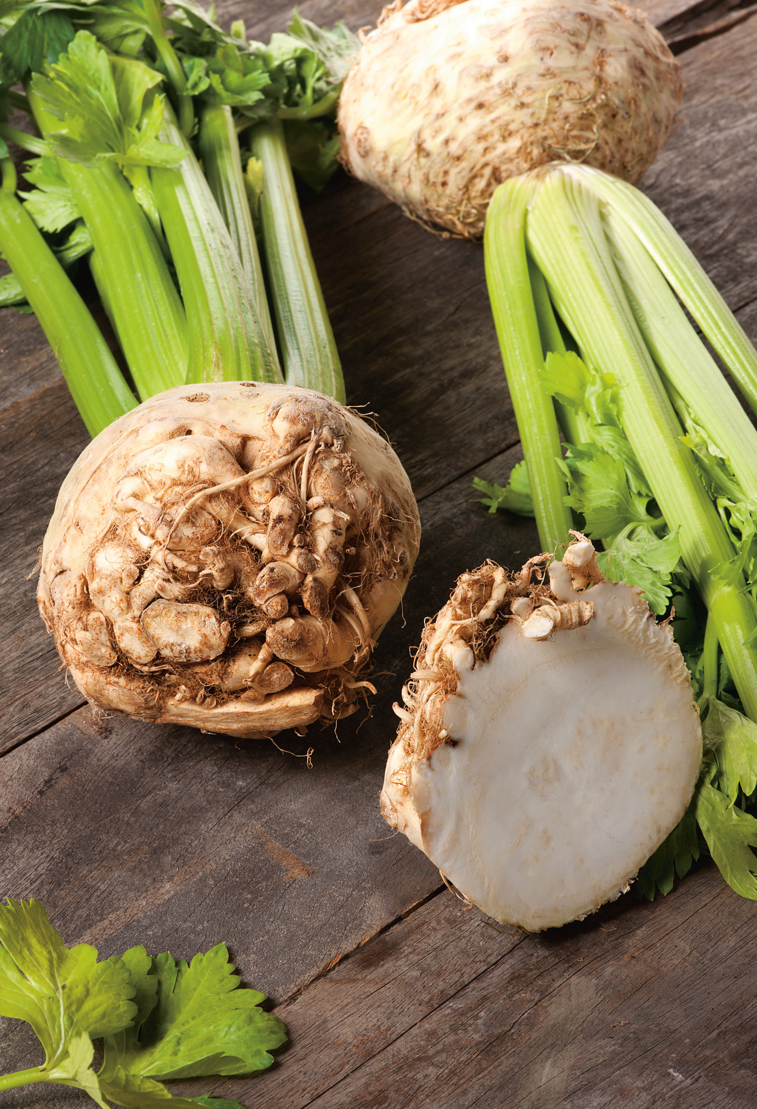 Knollensellerie (Bio) Ibis