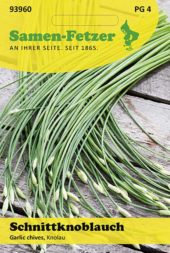 Schnittknoblauch Garlic chives