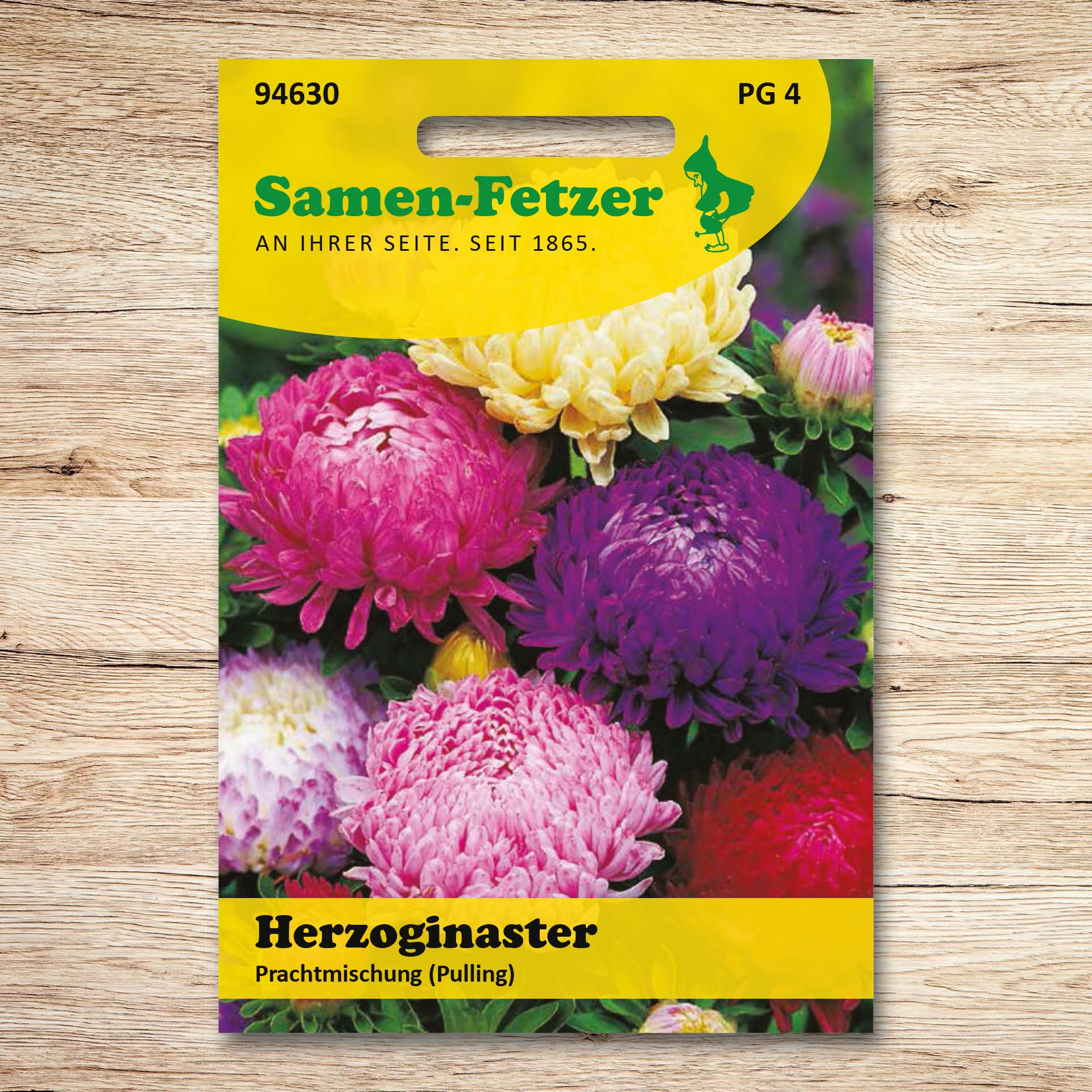 Herzoginastern Prachtmischung (Pulling)