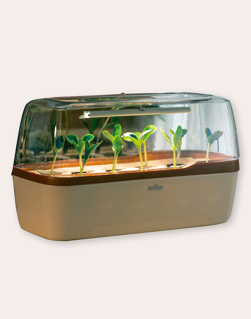 Zimmer- Gewächshaus BoQube L PLUS LED