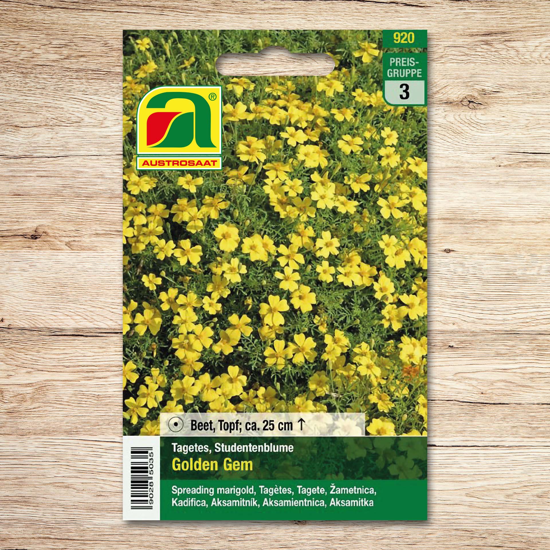 Tagetes Golden Gem