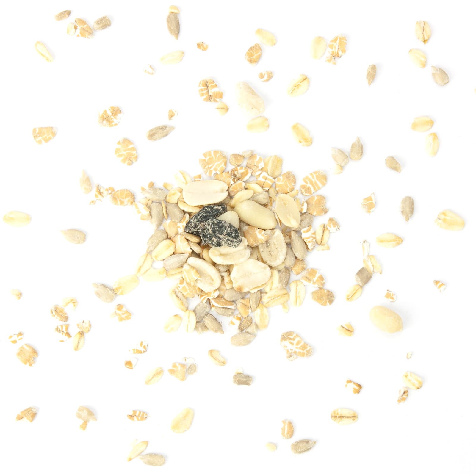98759_Wilder Winter-MCV109-Fettfutter-fuer-Voegel- Nahaufnahme einer Vogelfuttermischung mit Haferflocken, Sonnenblumenkernen und Erdnussstücken auf weißem Hintergrund