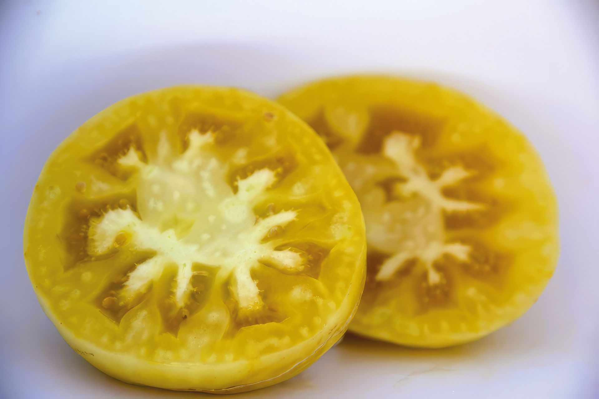 Fleischtomate Jason