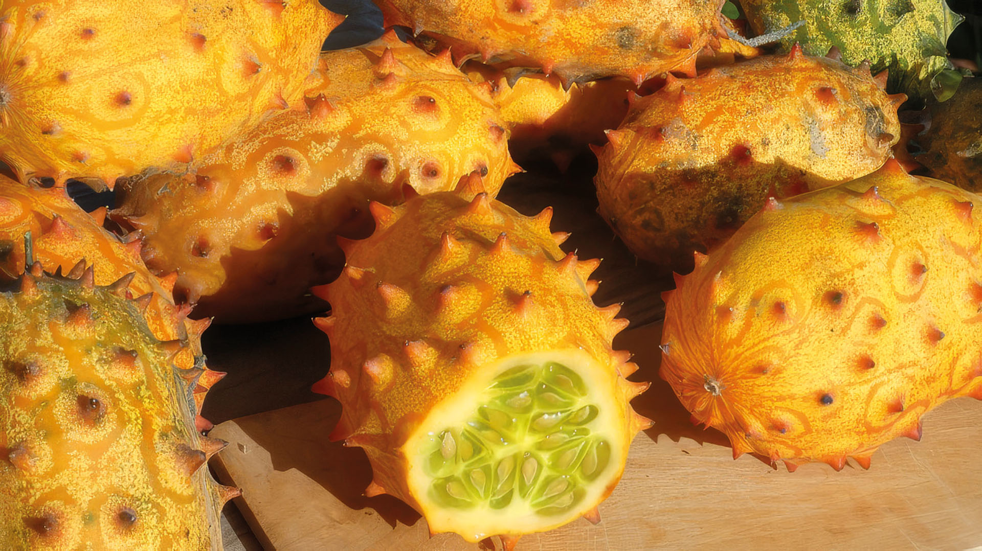 Stachelgurke Kiwano