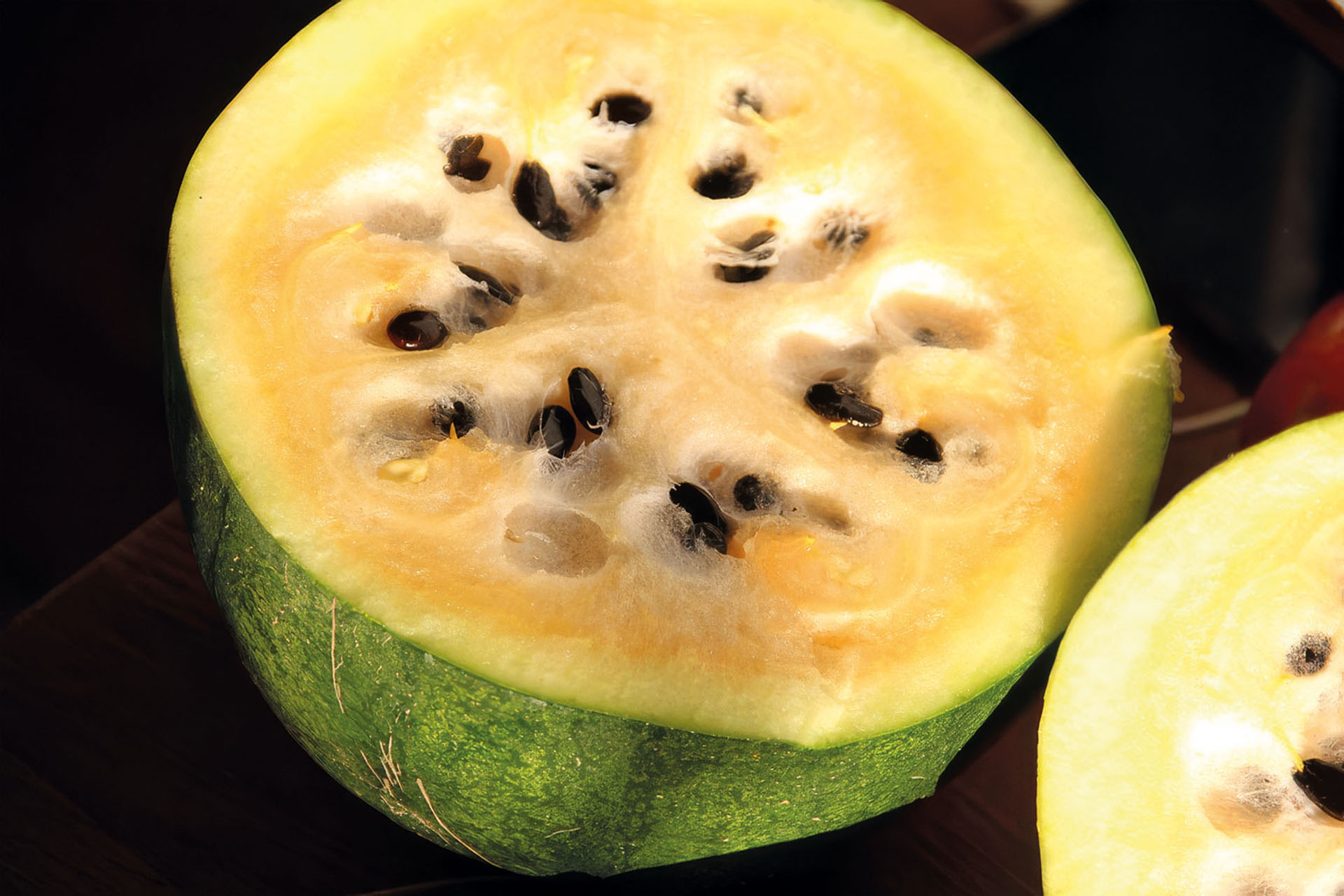 Wassermelone Cekirdegi Oyali
