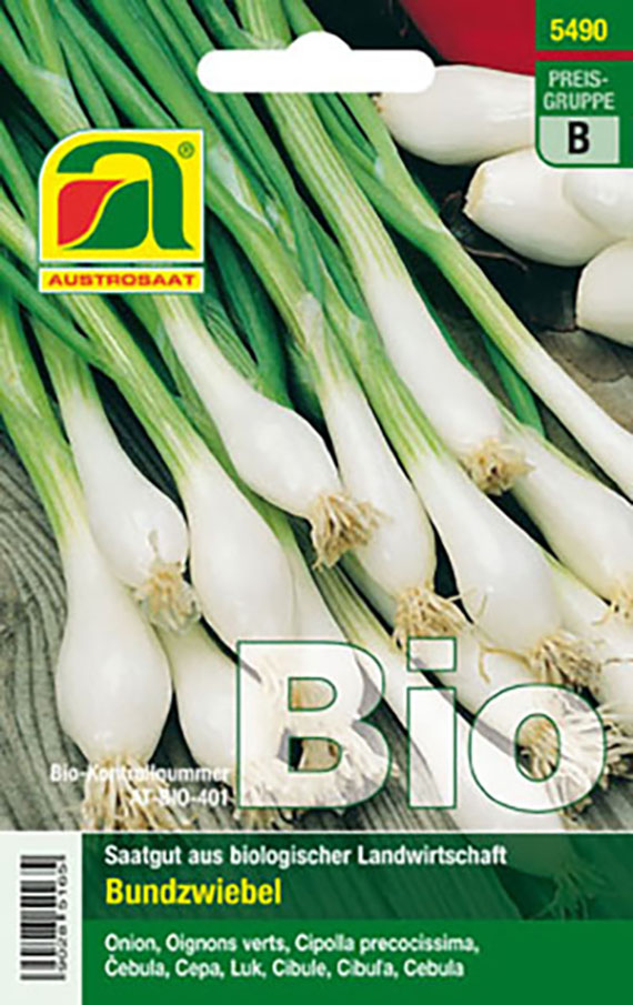 Packung Austrosaat Bio Bundzwiebel Saatgut, Vorderseite mit Foto weißer Bundzwiebeln und grüner Blattmasse, Kennzeichnung "BIO" und Hinweis auf Saatgut aus biologischer Landwirtschaft