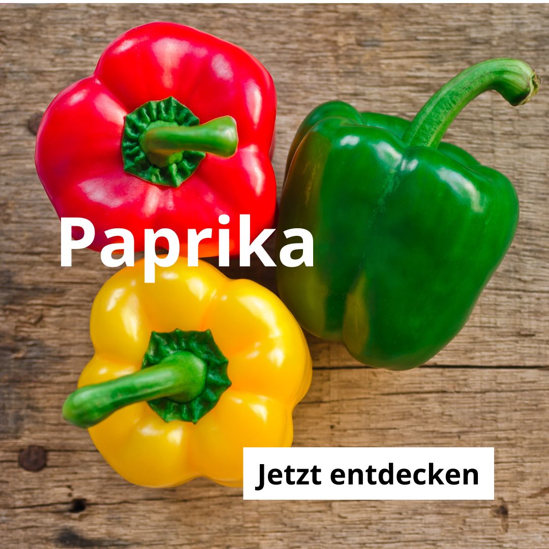 Paprika