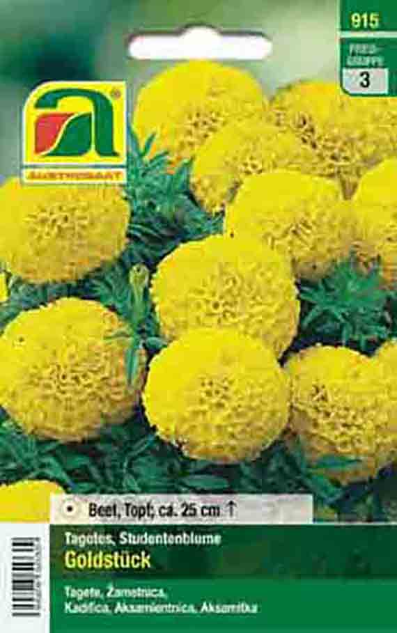 Saatgut-Tüte für Studentenblume (Tagetes) Sorte 'Goldstück' mit gelben, kugelförmigen Blüten; Verpackungsabbildung mit Pflanzenfoto und Hinweis Beet/Topf ca. 25 cm