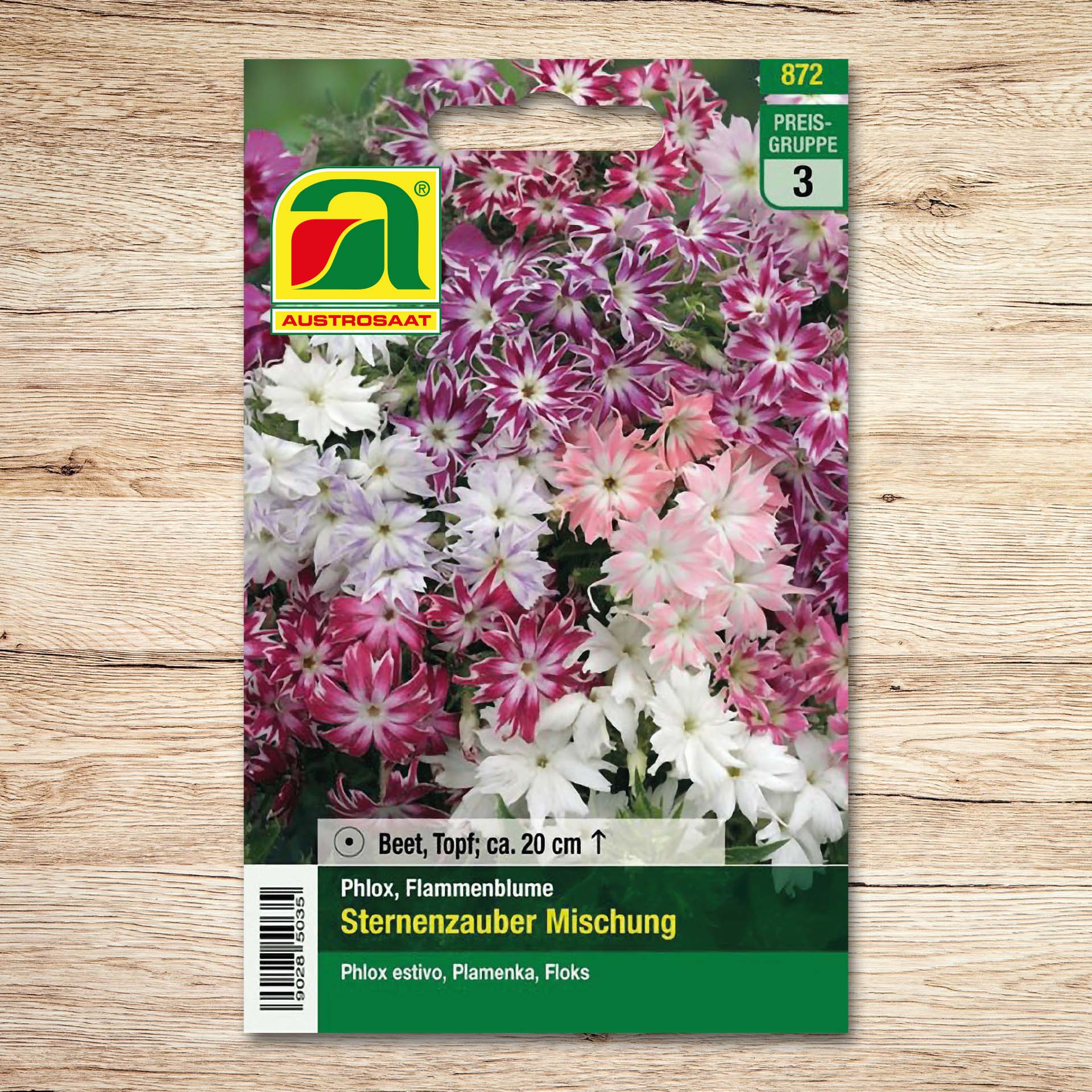 Phlox Sternenzauber Mischung