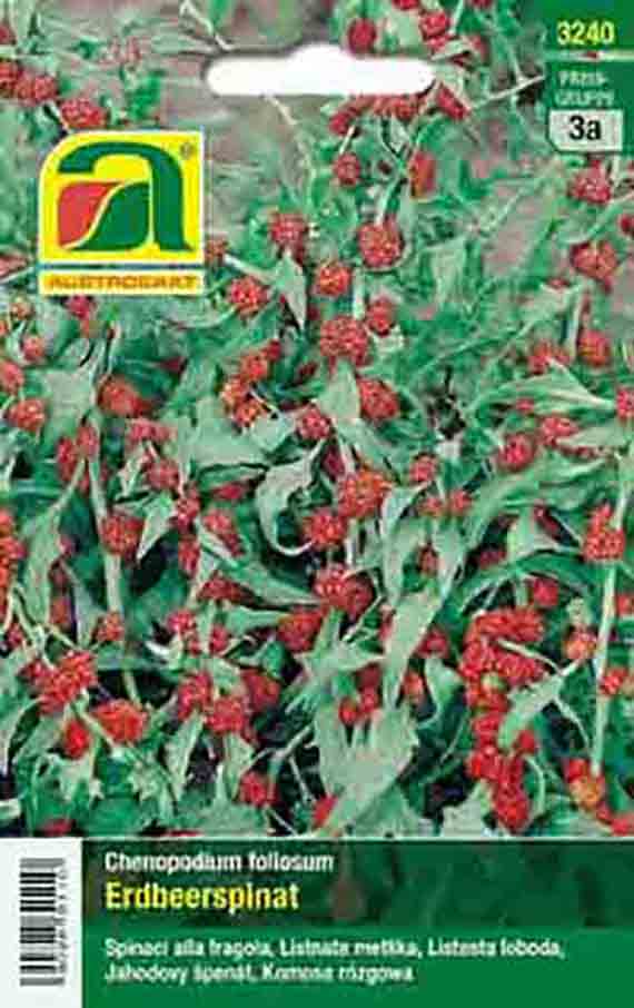 Vorderseite einer Samenpackung von Erdbeerspinat (Chenopodium foliosum) mit Foto der Pflanze: grüne Blätter und zahlreiche rote, erdbeerähnliche Samen, Herstellerlogo oben links und Produktbezeichnung unten
