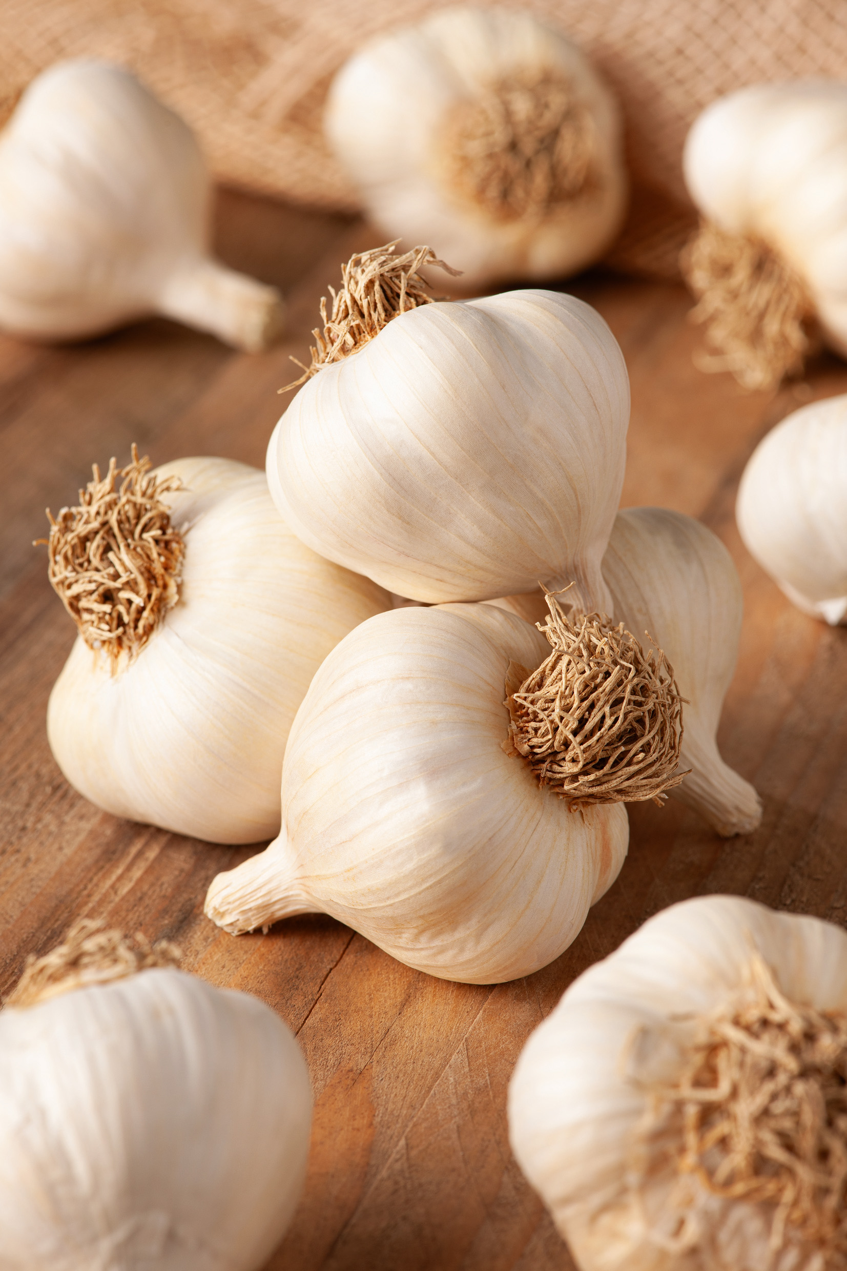 Pflanzknoblauch  Frühjahrspflanzung