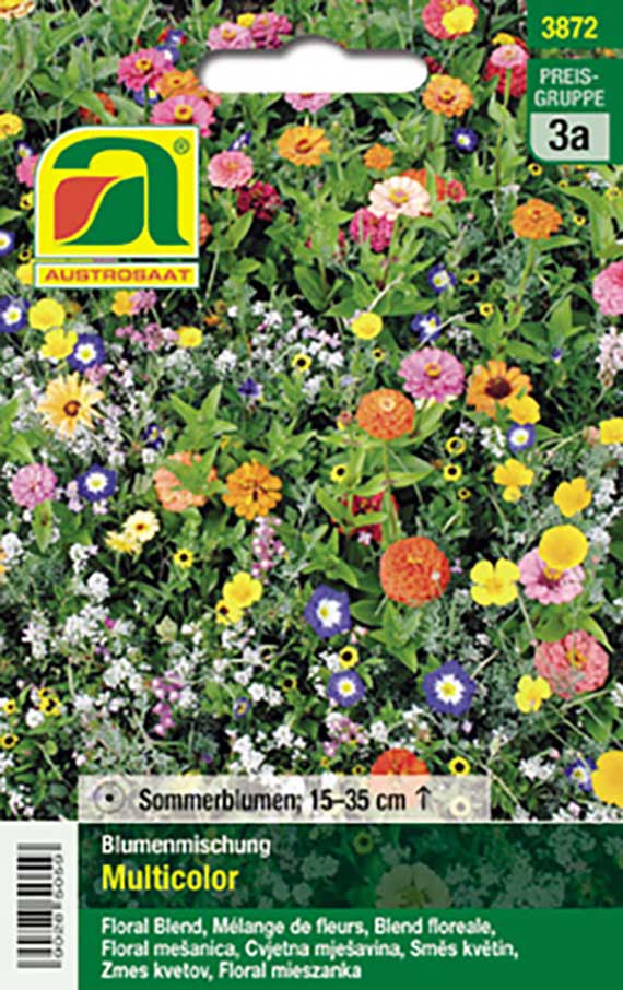 Packung Austrosaat Blumensamen „Multicolor“ mit bunter Sommerblumenmischung (Zinnien, Ringelblumen, Kornblumen u. a.), Wuchshöhe 15–35 cm; Abbildung zeigt mögliche Blütenpracht
