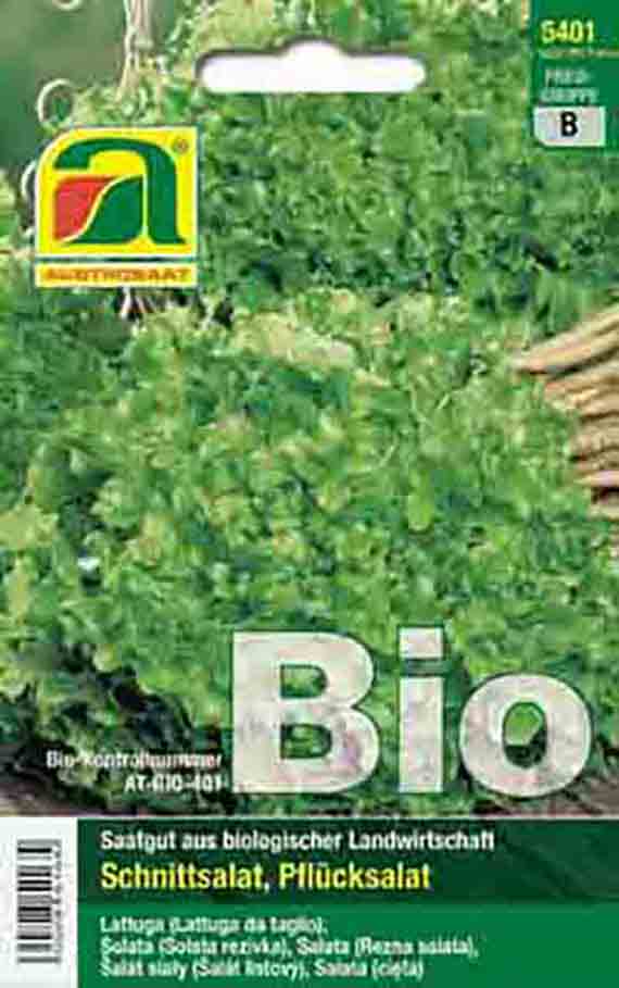 Vorderseite einer Bio-Saatgut-Packung mit Schnittsalat/Pflücksalat, Bild von grünen Blattsalaten und Schriftzug 'Bio'.