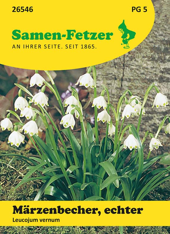 26546_0 (1) Samen-Fetzer Saatgutpackung für Märzenbecher (Leucojum vernum) mit Foto weißer glockenförmiger Frühlingsblüten, grünem Laub und Baumrinde im Hintergrund
