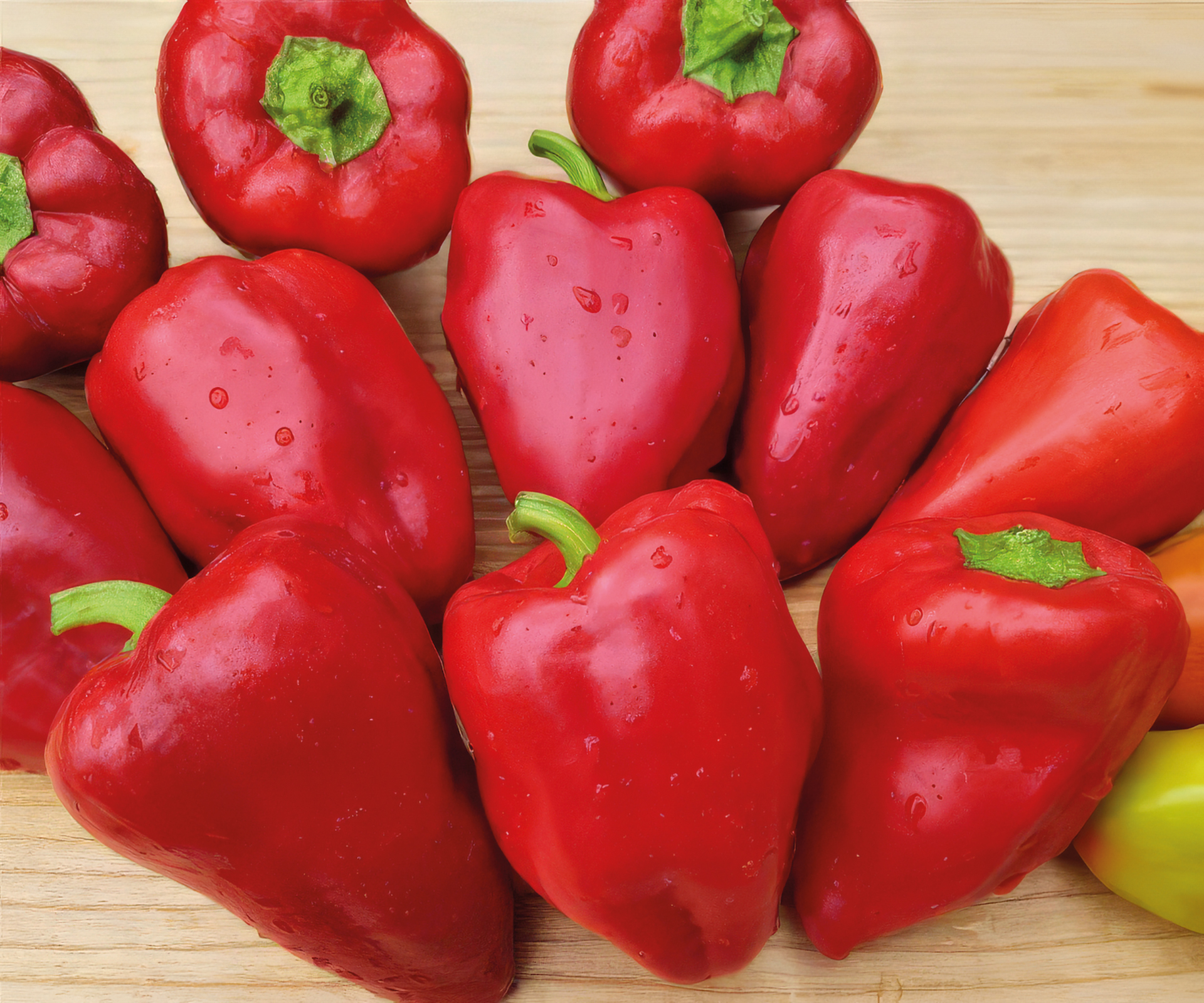Paprika Erstling Sibirien
