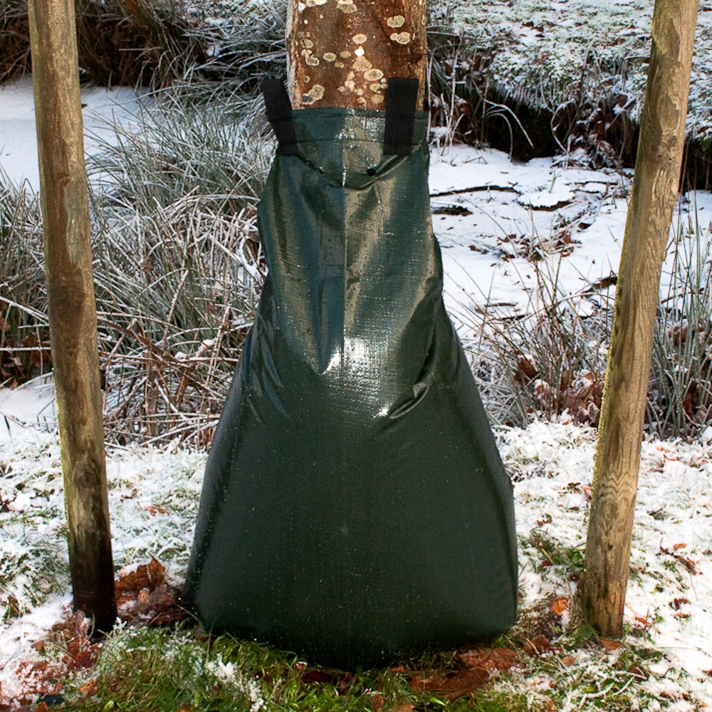 Dunkelgrüner Bewässerungsbeutel um einen Baumstamm im verschneiten Garten, mit zwei Klettbändern befestigt