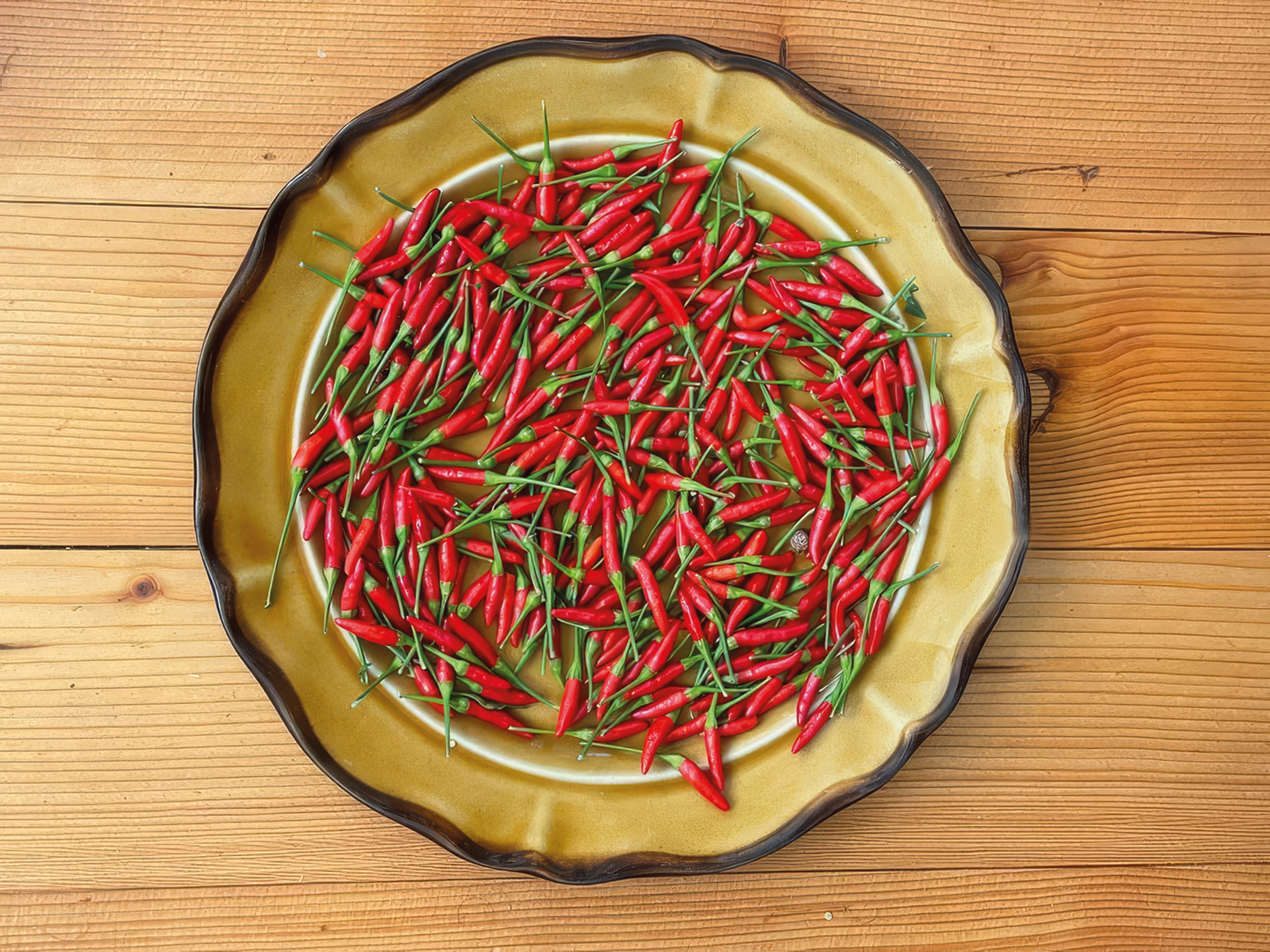 Kleine Chili Wildpfefferoni