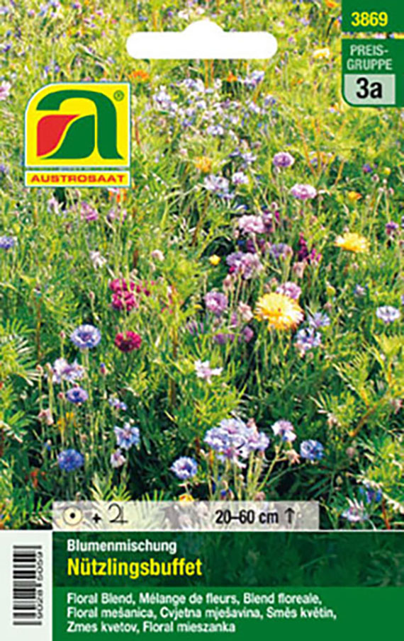 Blumenmischung Nützlingsbuffet