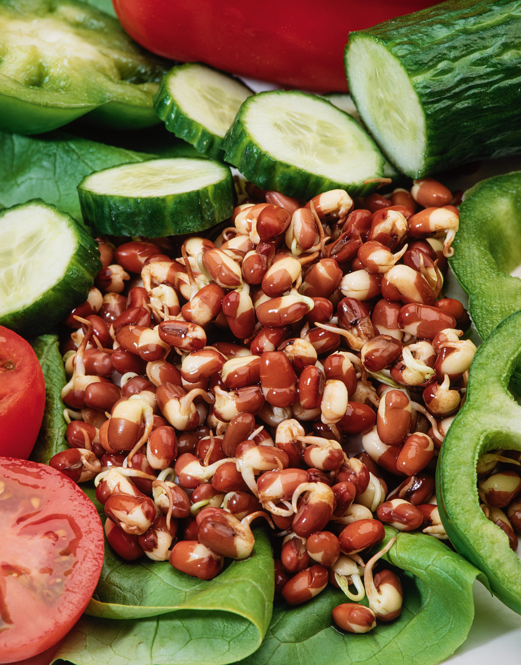 Keimsprossen (Bio) Lunja