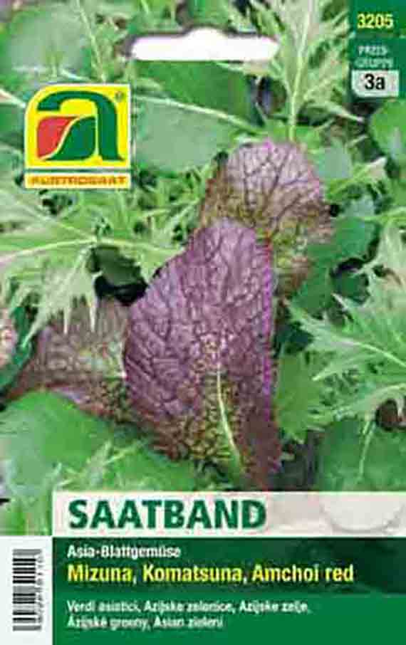 Saatgut-Packung (Saatband) für Asia-Blattgemüse mit grüner Verpackung und Foto roter Mizuna/Amchoi-Blätter; Aufdruck: SAATBAND, Mizuna, Komatsuna, Amchoi red