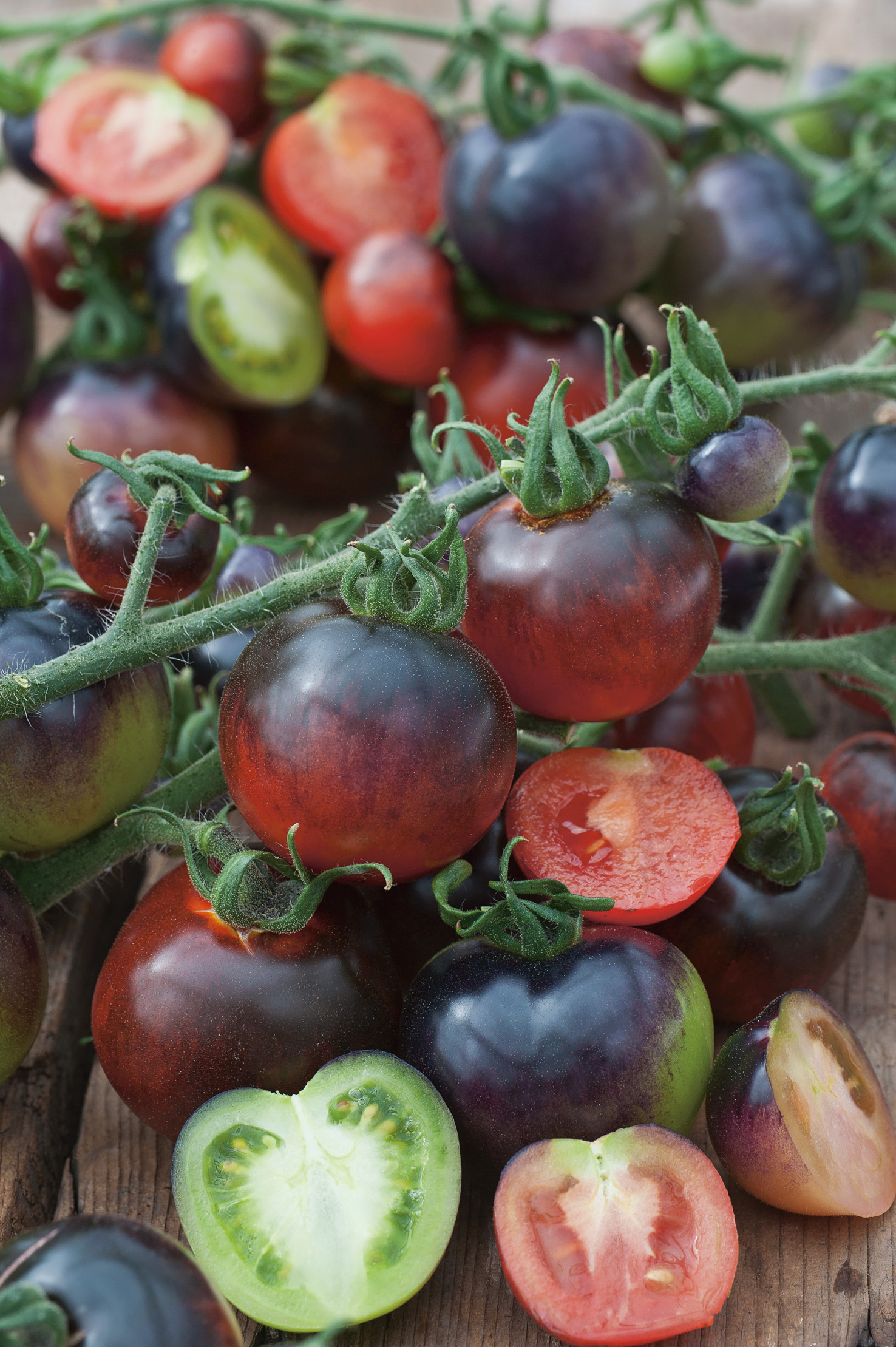 Nahaufnahme von bunten Cocktailtomaten (schwarz-violett, rot, grün) an der Rispe; einige Früchte halbiert und auf Holzuntergrund arrangiert.