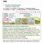 Produktbild einer Samenpackung für Knollenfenchel (Fenchel) mit Fotos von Fenchelknollen, Blattwerk und Begleittext