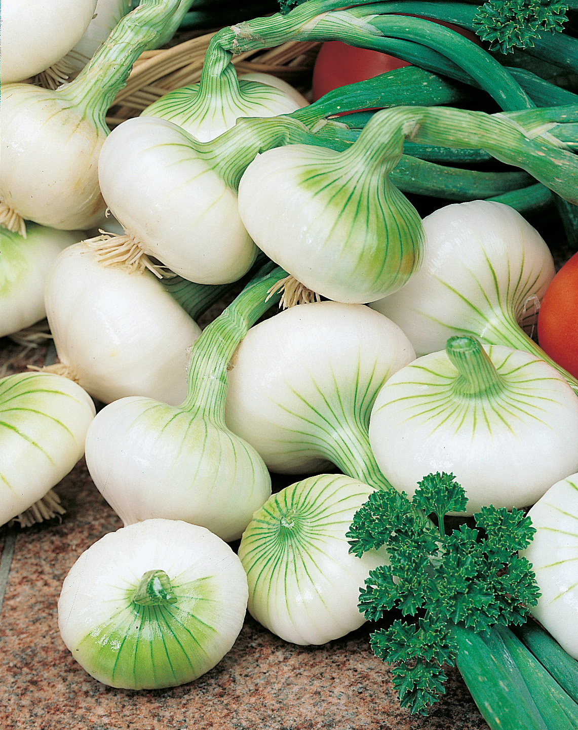 Nahaufnahme frischer weißer Zwiebeln mit grünen Stielen, Petersilie im Vordergrund und Tomate im Hintergrund
