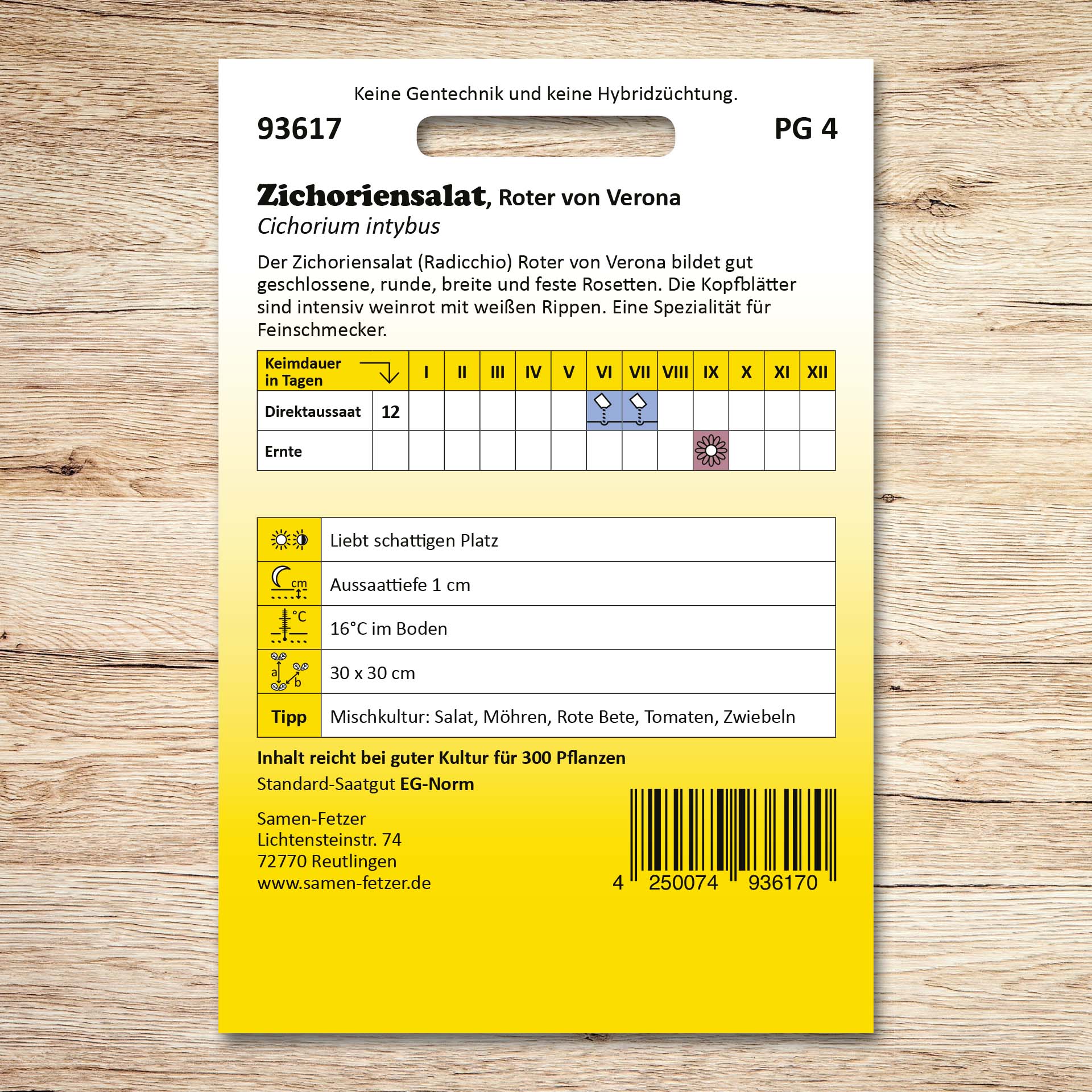 Rückseite der Samen-Fetzer Samentüte Zichoriensalat Roter von Verona mit Aussaat- und Pflegehinweisen für weinroten Radicchio mit weißen Rippen.